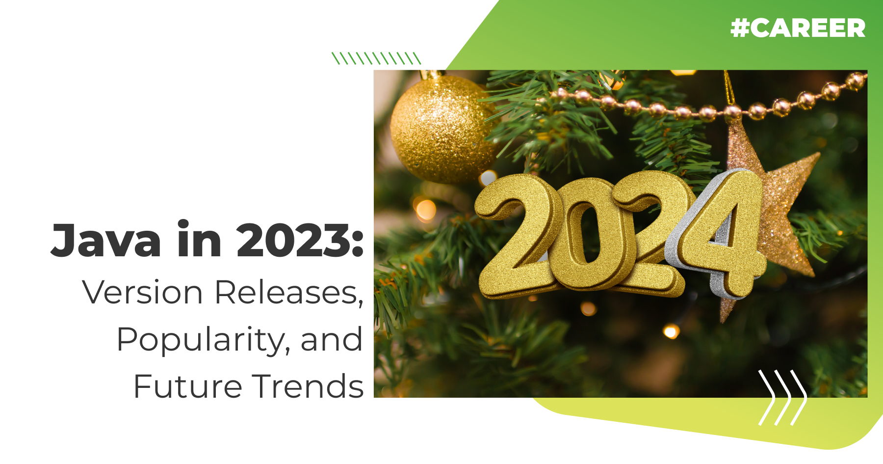 Java in 2023: Version Releases, Popularity, and Future Trends