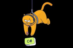 Overview of a Software Developer's Career - 2