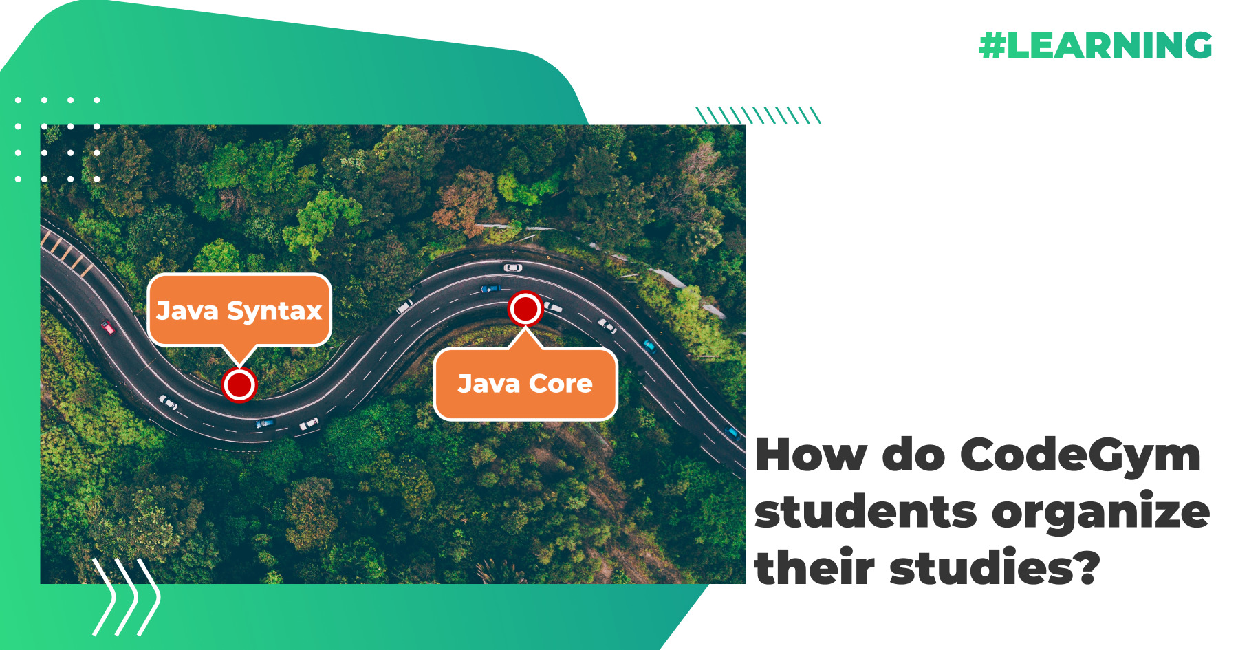 How do CodeGym Students Organize Their Studies? Results of Our Survey ...
