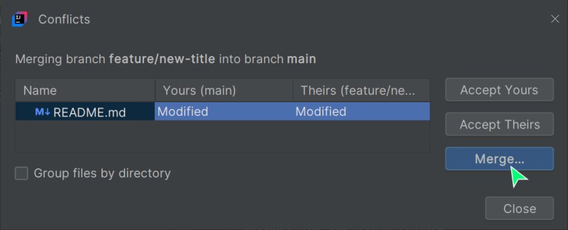 The window that reports conflicts