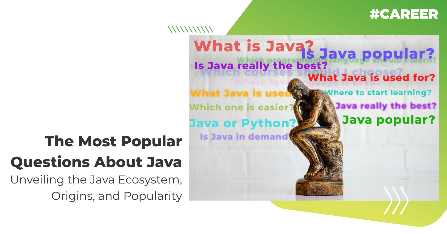 The Most Popular Questions About Java: Unveiling the Java Ecosystem ...