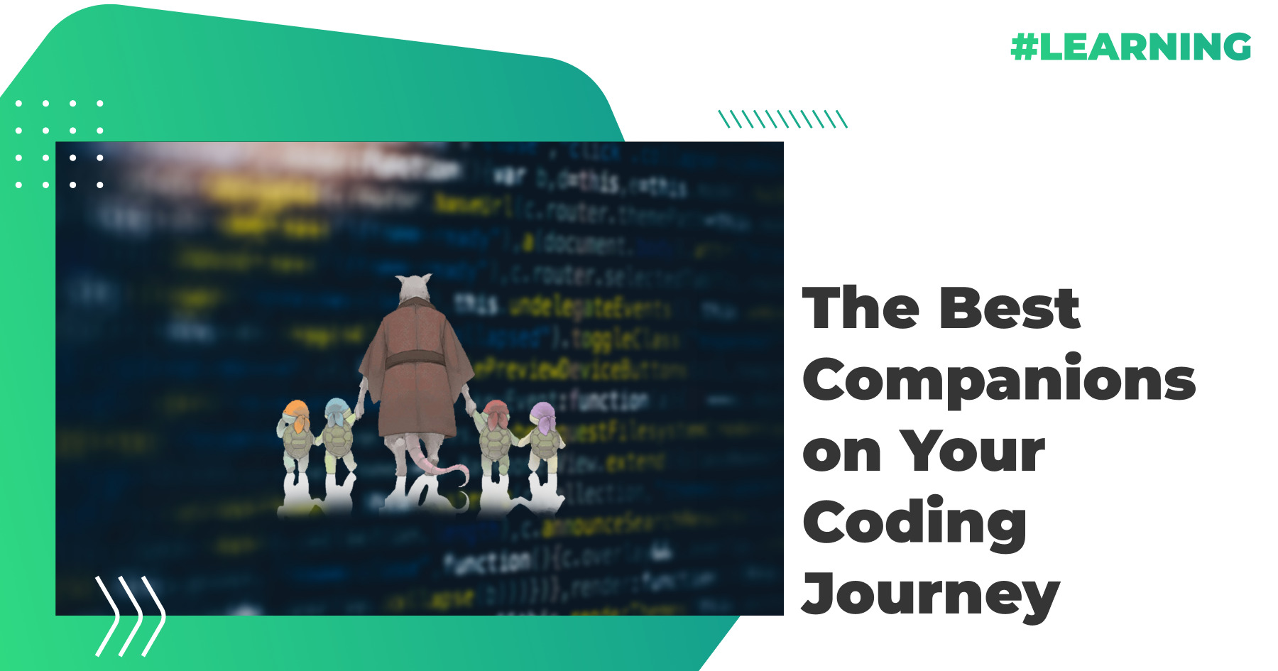 The Best Сompanions on Your Coding Journey