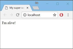 在 IntelliJ IDEA Enterprise 中創建最簡單的 Web 項目。 一步一步，帶圖片 - 18