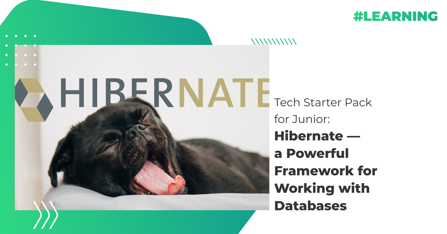Tech Starter Pack for Junior: Hibernate — a Powerful Framework for ...