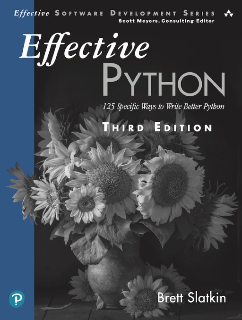 Die besten Python-Bücher für Anfänger und Fortgeschrittene (2025) - 6