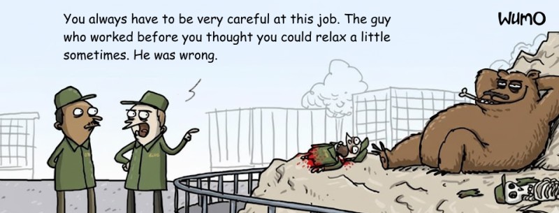 Top Python Courses in 2025: How to Choose Without Regrets - 2