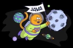 Overview of a Software Developer's Career - 4