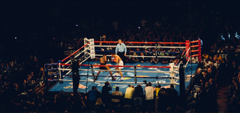 From the ring to the IT field - 1
