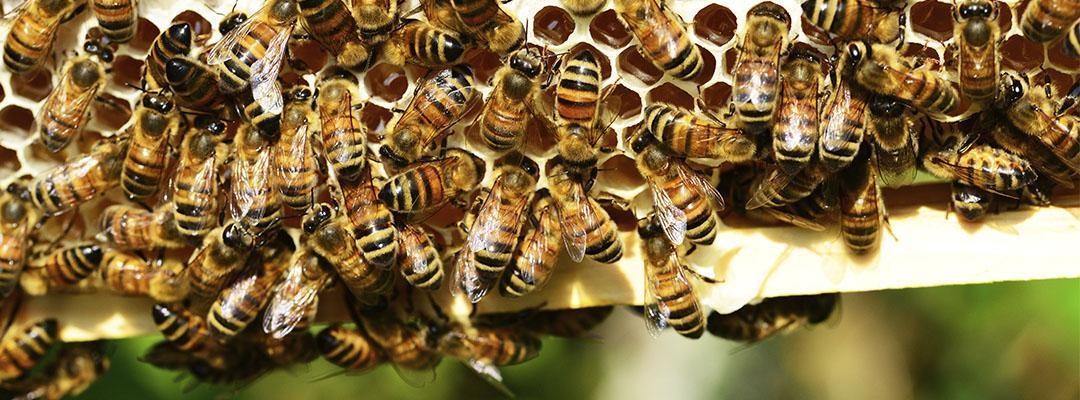 பழைய நிலை 02 - 5