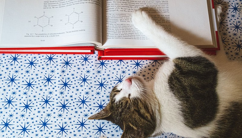 From Junior’s CV: Spring Framework Is a Popular Java Framework - 1
