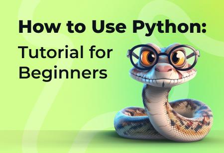 How to Use Python: Tutorial for Beginners