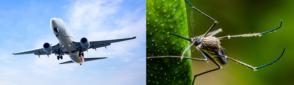 The difference between abstract classes and interfaces - 2