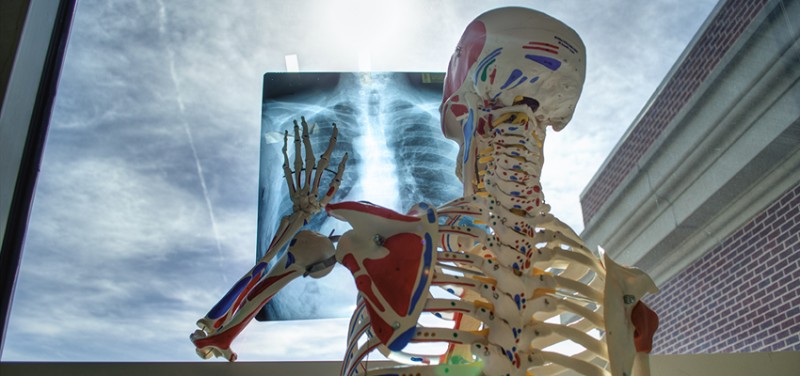 ฉันเริ่มทำงานกับสตาร์ทอัพ - 1